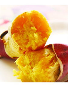 泉城烤薯加盟详解 费用、总部及地瓜坊餐饮管理分析